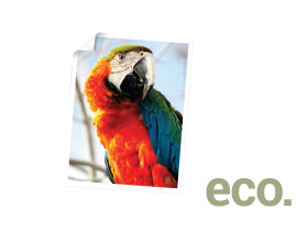 photo of Eco Paper